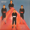 Gary Numan The Pleasure Principle Reissue Grey Vinyl 2015